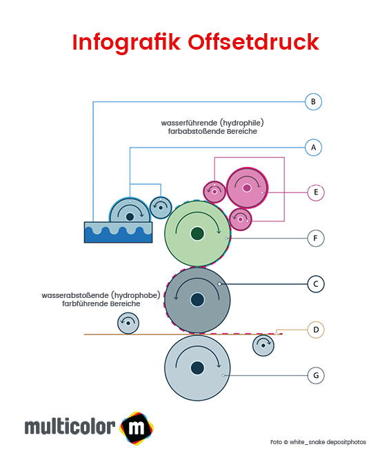 Die Infografik zum Offsetdruck zeigt das
    Verfahren der Übertragung der vier Druckfarben cmyk auf das zu bedruckende Papier.